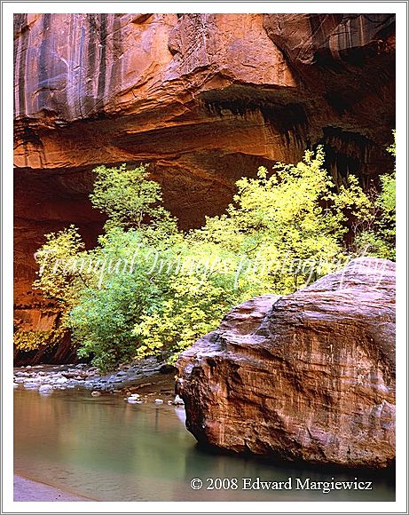 450538A   Intimate corners of the Virgin Narrows in Zion Canyon